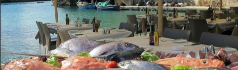 #theboathouse #xlendibay