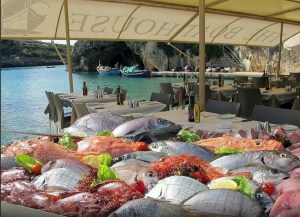 #theboathouse #xlendibay